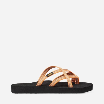 Teva Women's Olowahu Flip Flops Sale NZ (NFKQL-7903)